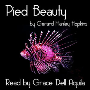 Pied Beauty (Gerard Manley Hopkins) Ready by Grace Dell Aquila Album Art