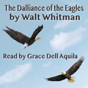 The Dalliance of the Eagles (Walt Whitman) Read by Grace Dell Aquila Album Art