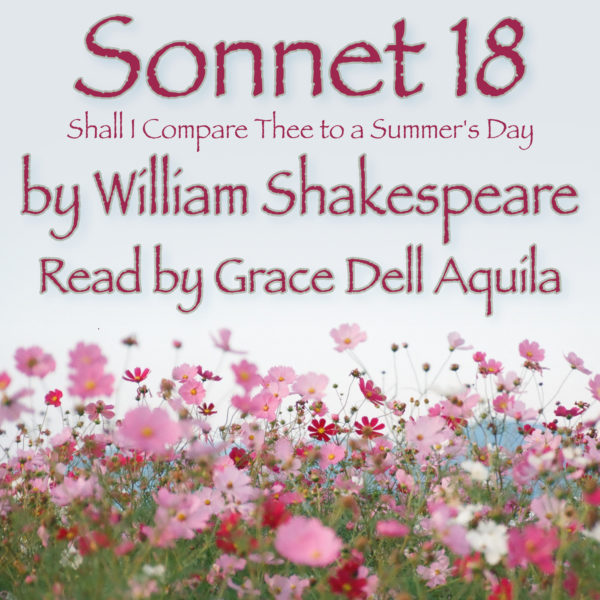 Sonnet 18 (William Shakespeare) Read by Grace Dell Aquila Album Art