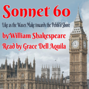 Sonnet 60 (William Shakespeare) Read by Grace Dell Aquila Album Art