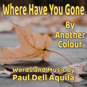 Where Have You Gone by Another Colour Cover Art